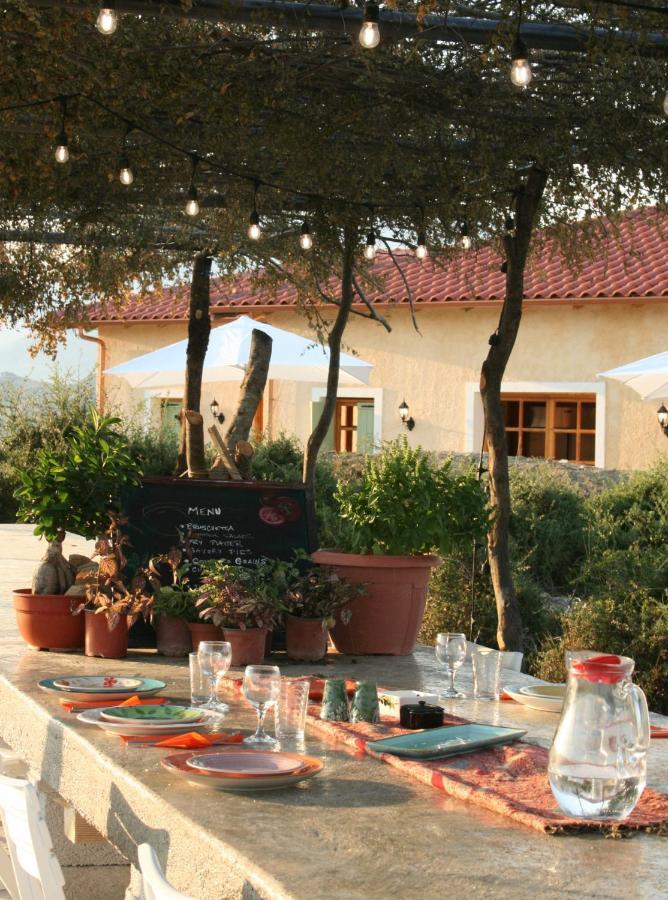 Bote Farms * Sarandë